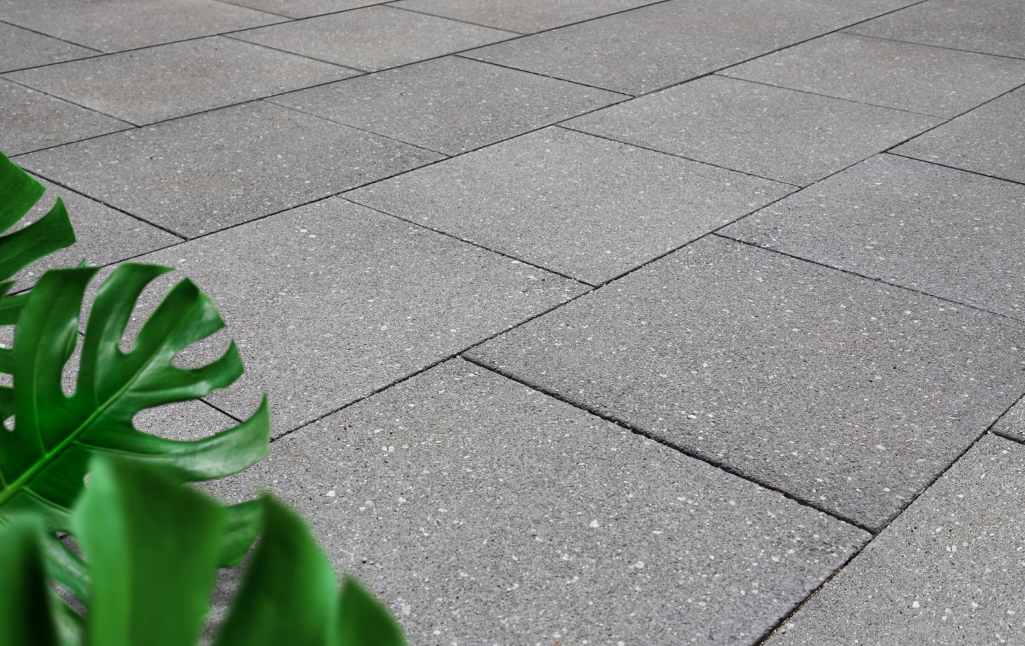 Courtyard Flagstone   V Ash honed 2