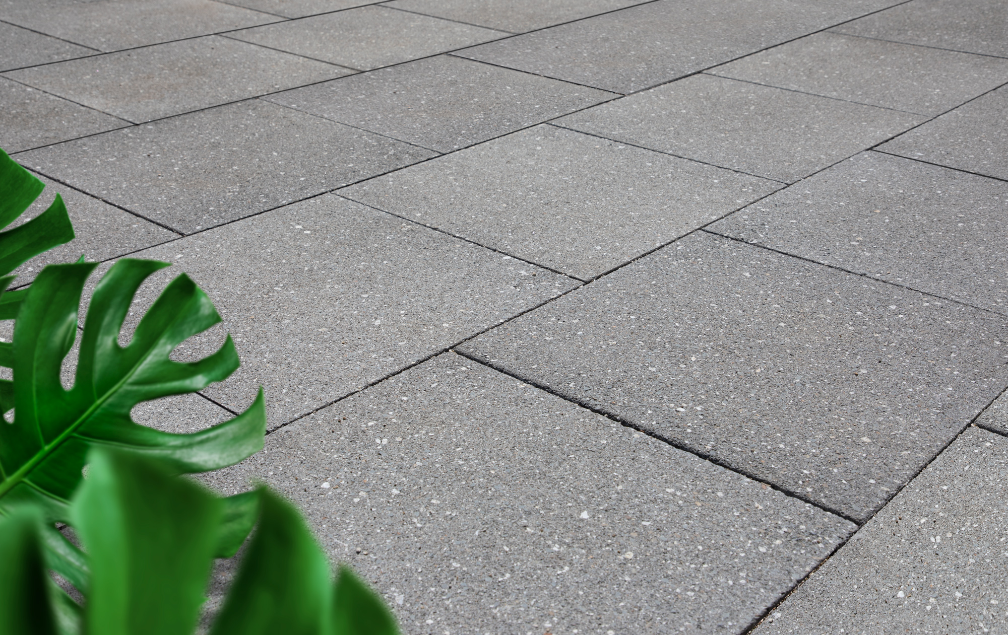 Courtyard Flagstone   V Ash honed 2