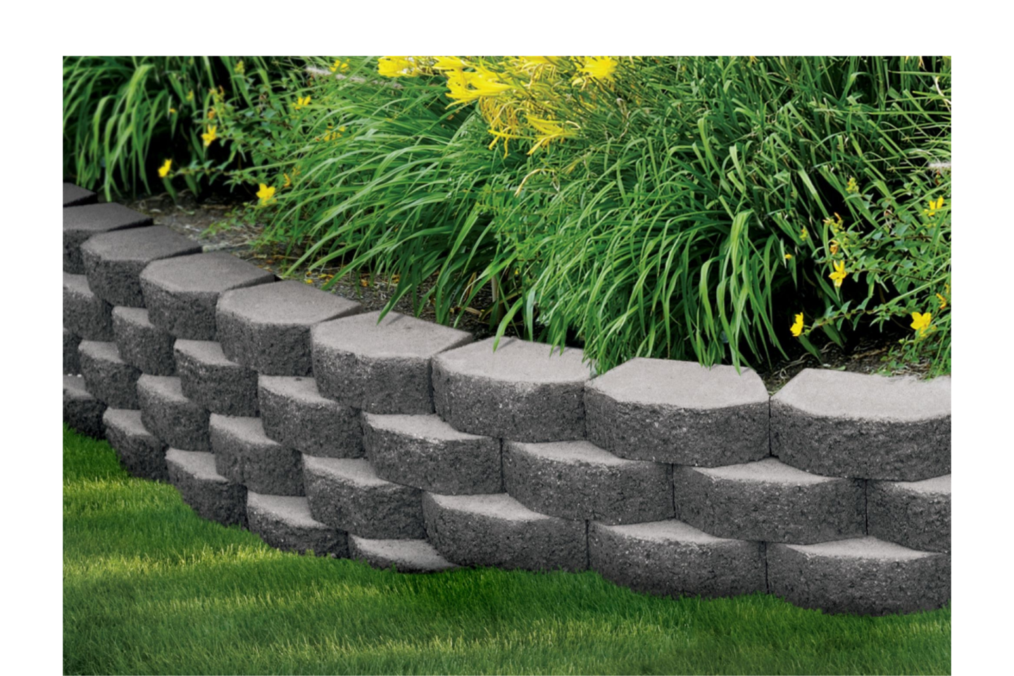 Garden Wall