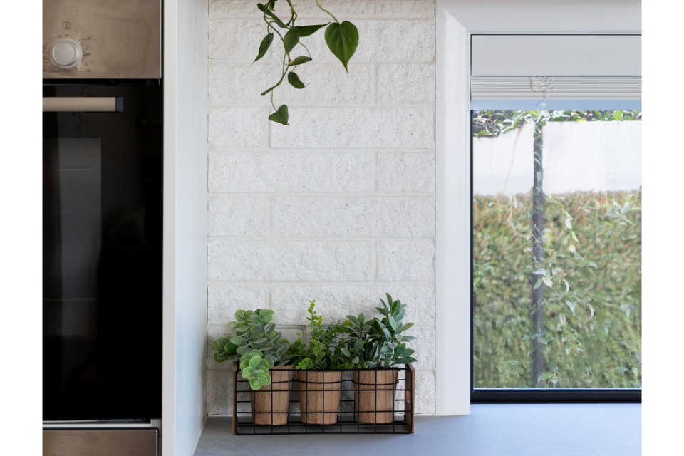 Tasman Coastal