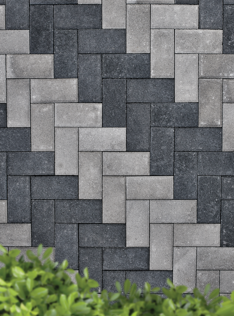 Screenshot 2026 03 04 102932