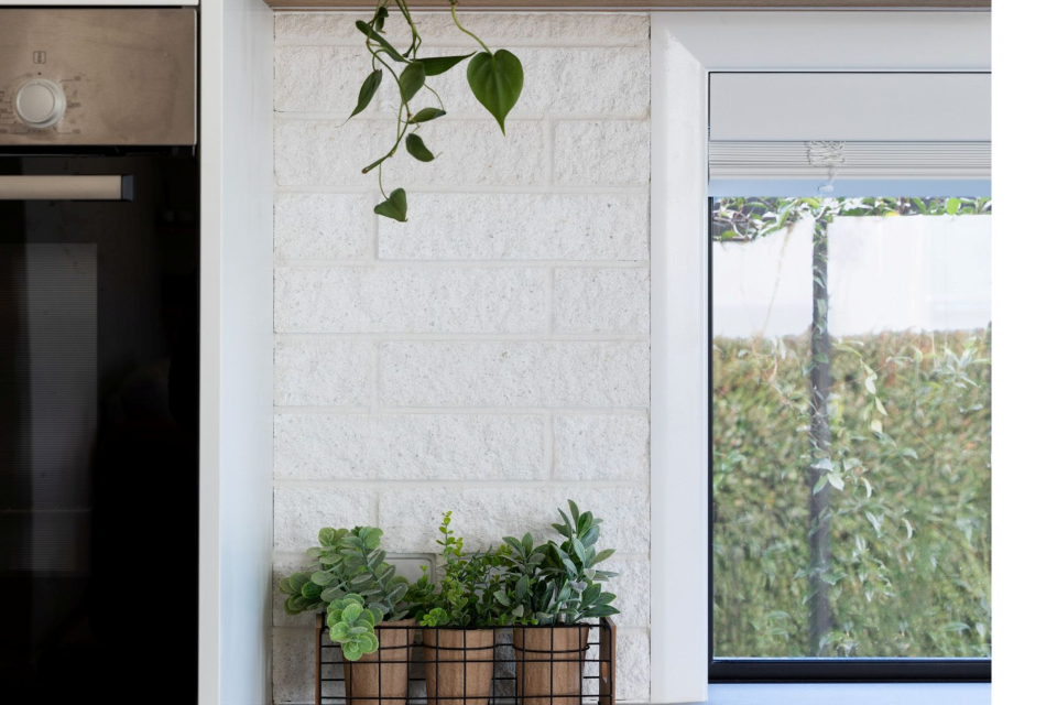 tas coastal edited 2 (4)