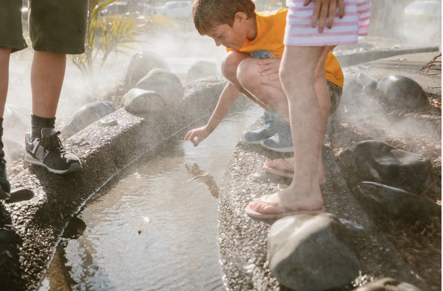 Waiaroha Heretunga Water Discovery Centre